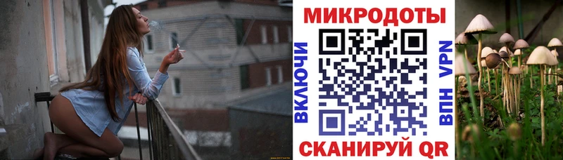Псилоцибиновые грибы Psilocybine cubensis  Купить  Электрогорск 